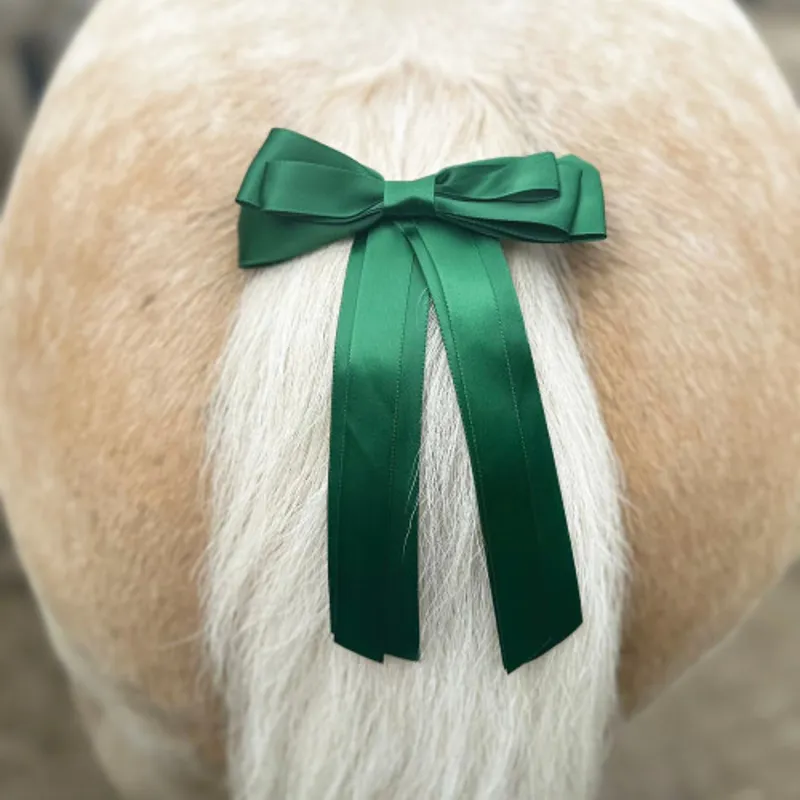 Equetech Horse Competition Warning Tail Ribbon in Green-1