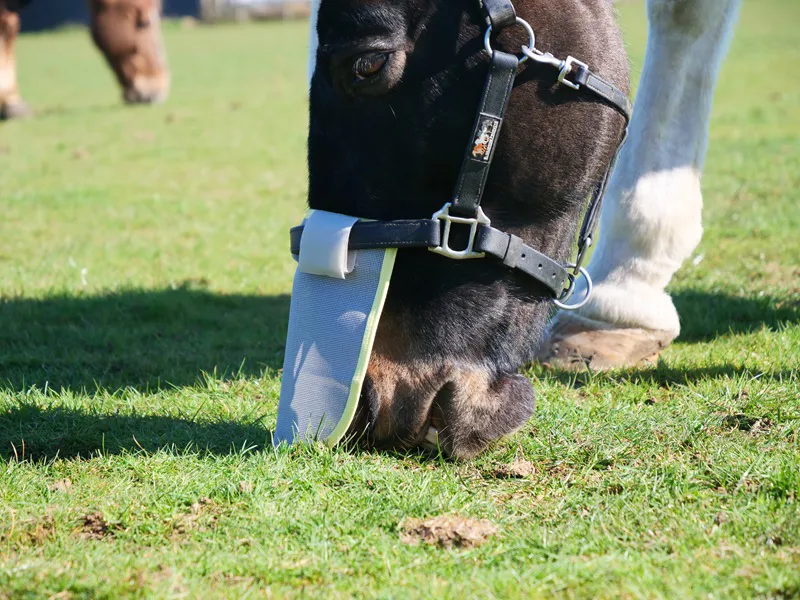 Equilibrium Field Relief Muzzle Protector in Grey-2