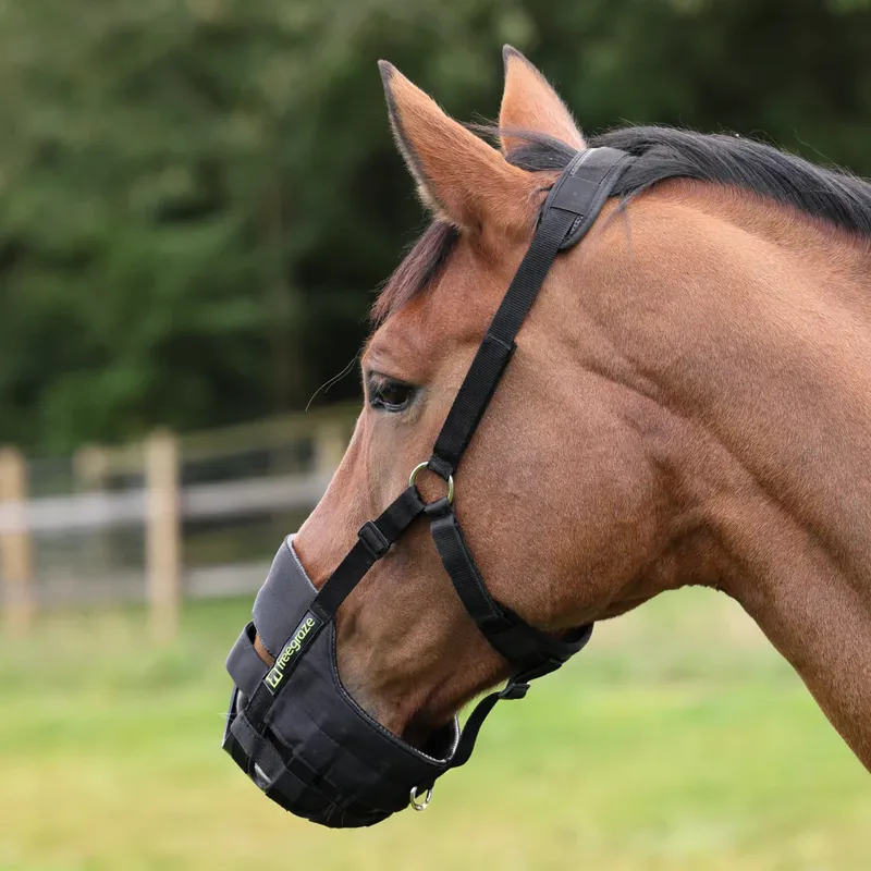 Shires FreeGraze AirFlow Grazing Muzzle in Black-1
