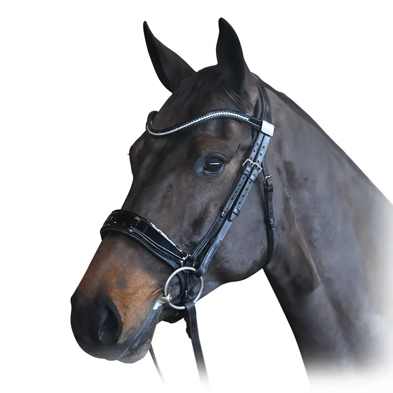 Fairfax Complete Snaffle Bridle with Patent Cavesson Noseband in Black
