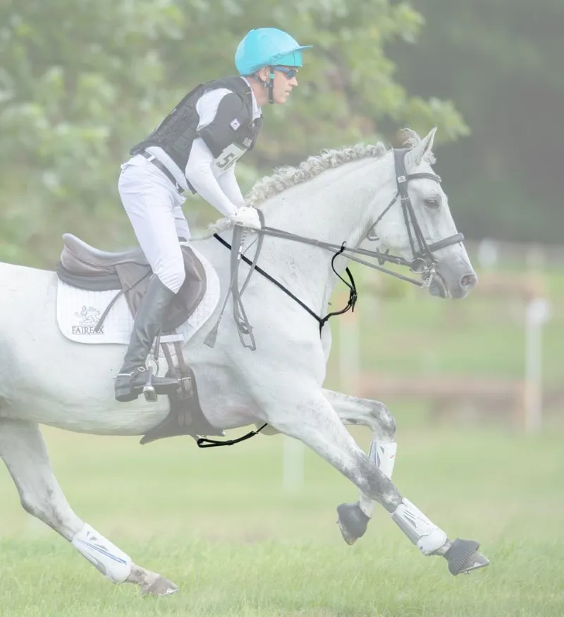 Fairfax Martingale in Black-1