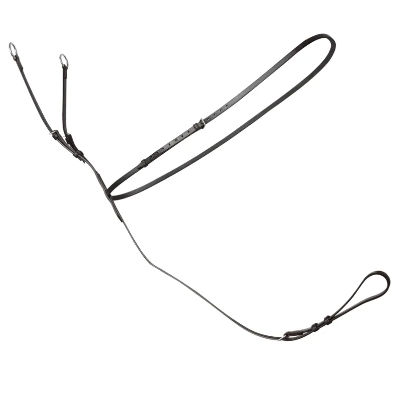 Fairfax Martingale in Brown-2