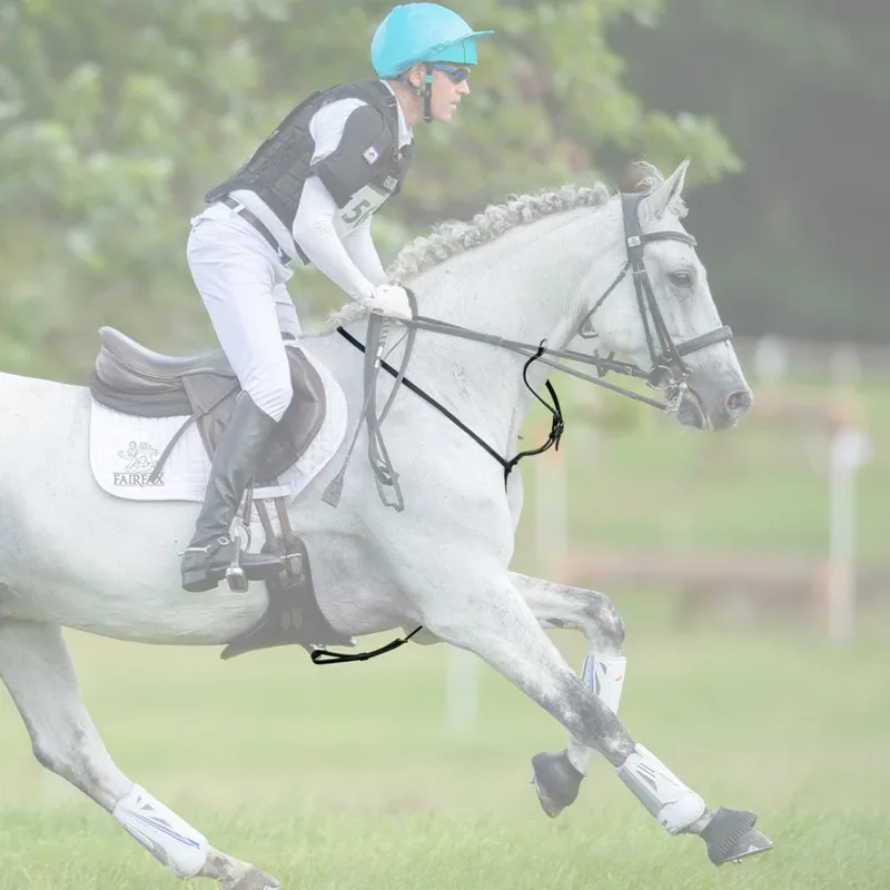 Fairfax Martingale in Brown-5