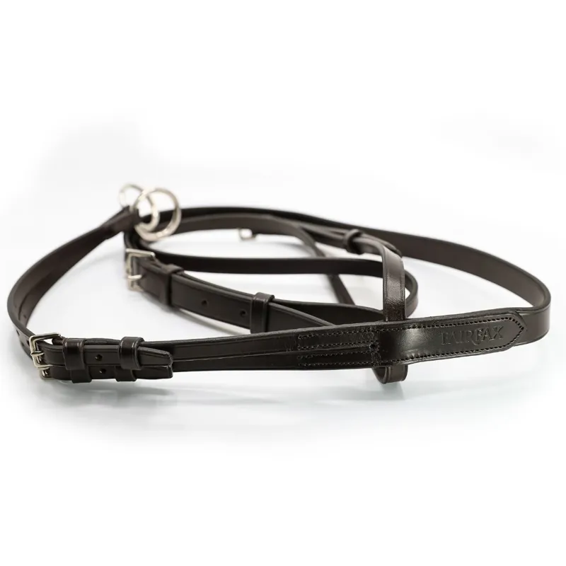 Fairfax Martingale in Brown-3