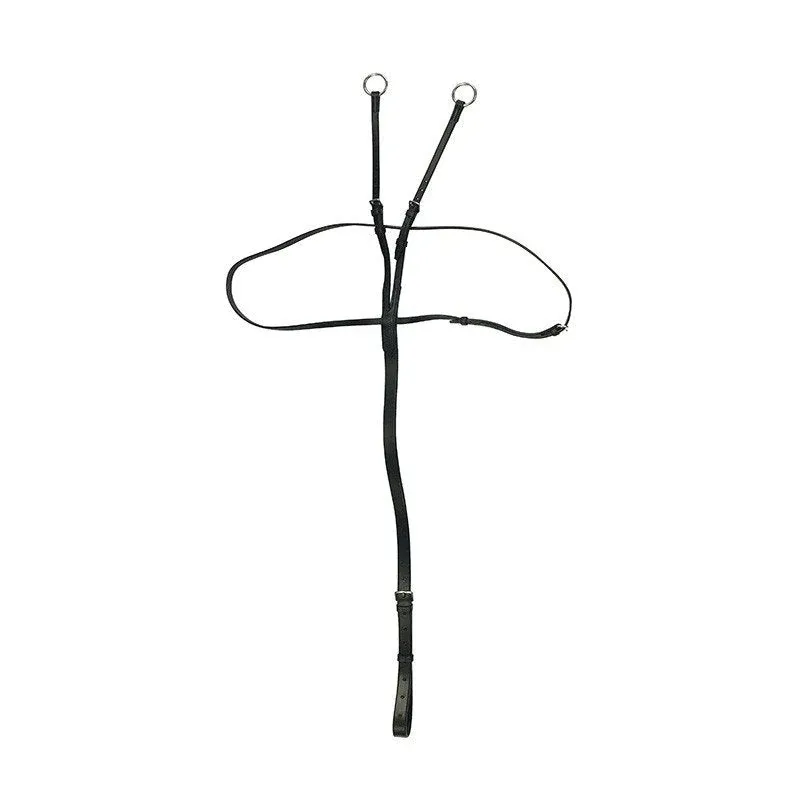 Fairfax Martingale in Brown-4