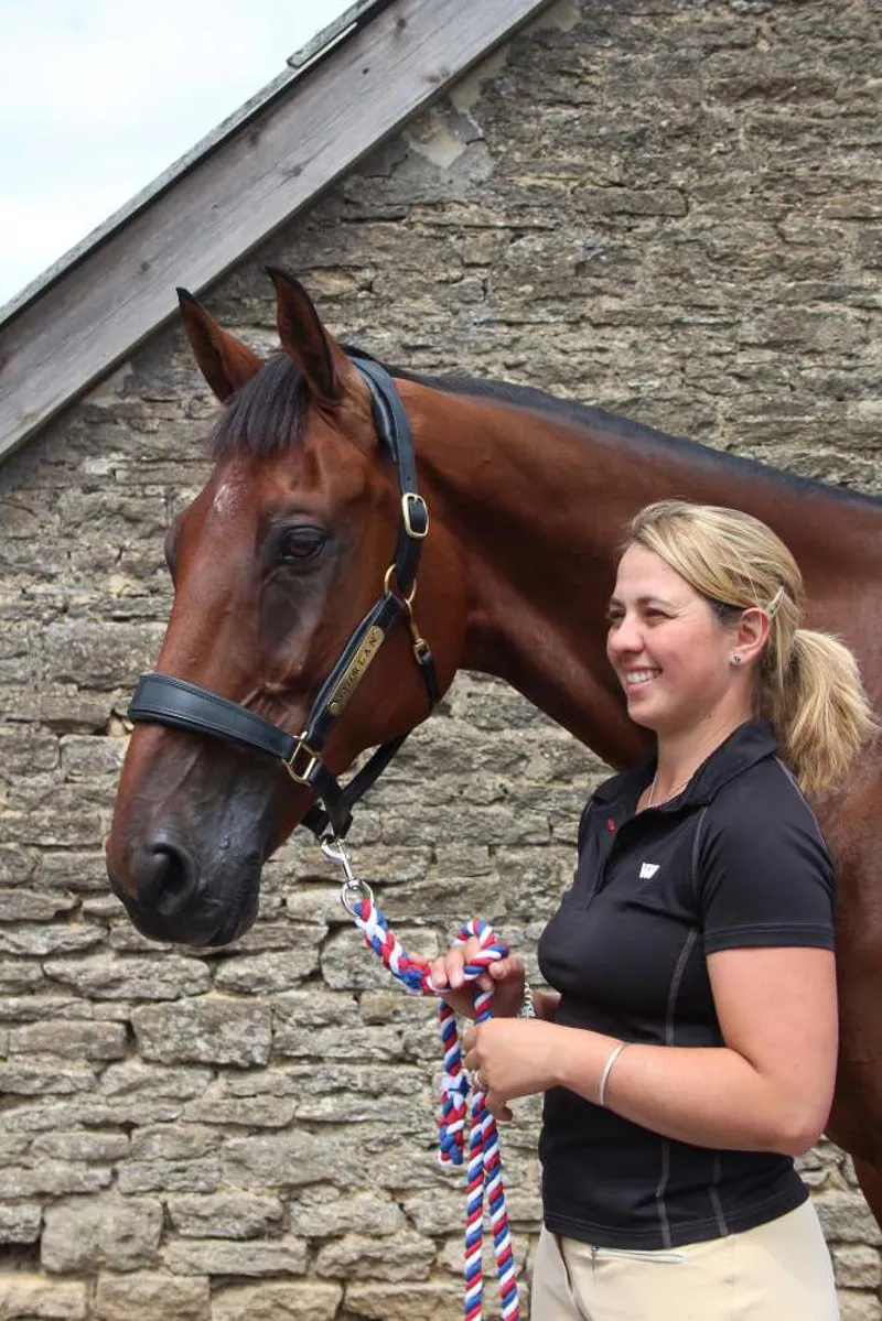 Fairfax Rio Headcollar in Black