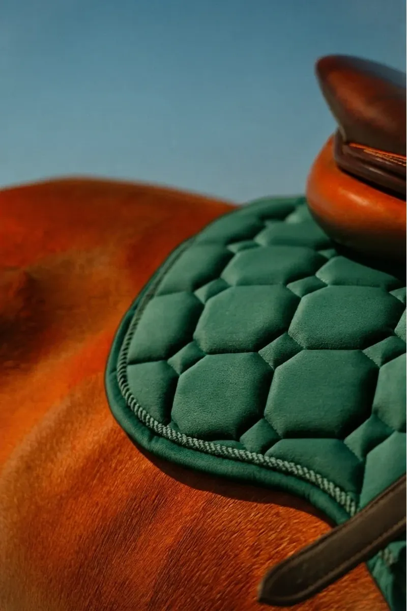 Cameo Equine Suede GP and Jump Saddlecloth in Evergreen-1
