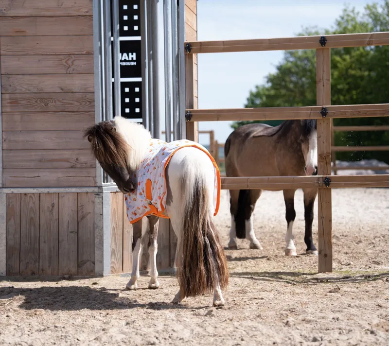 HKM Splash Fly Rug - Orange-5