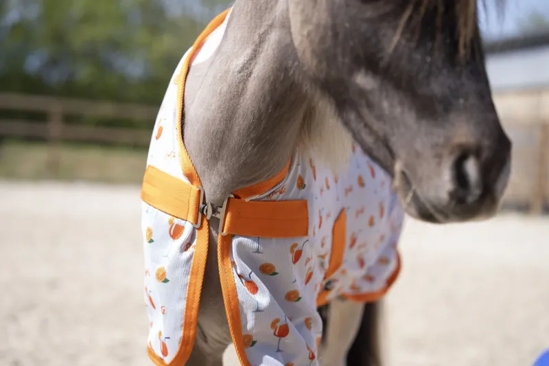 HKM Splash Fly Rug - Orange-4