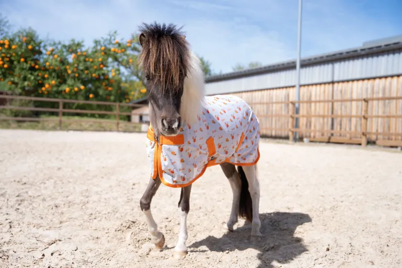 HKM Splash Fly Rug - Orange-2