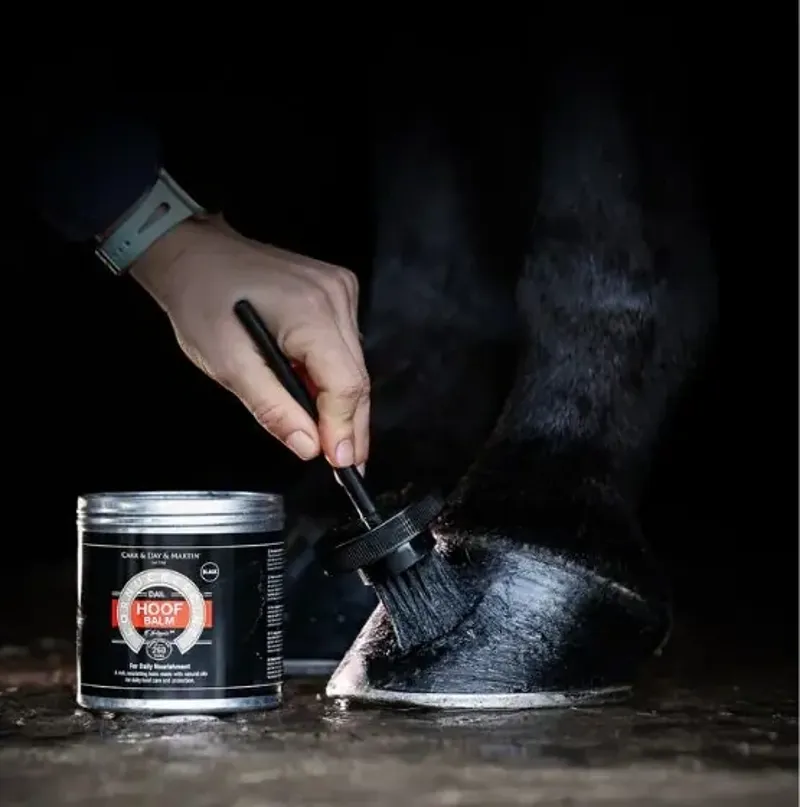 Carr and Day and Martin Cornucrescine Hoof Balm in Black-1