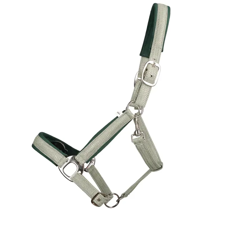 Hy Equestrian Mermaid Shimmer Head Collar And Lead Rope Set in Mint Green