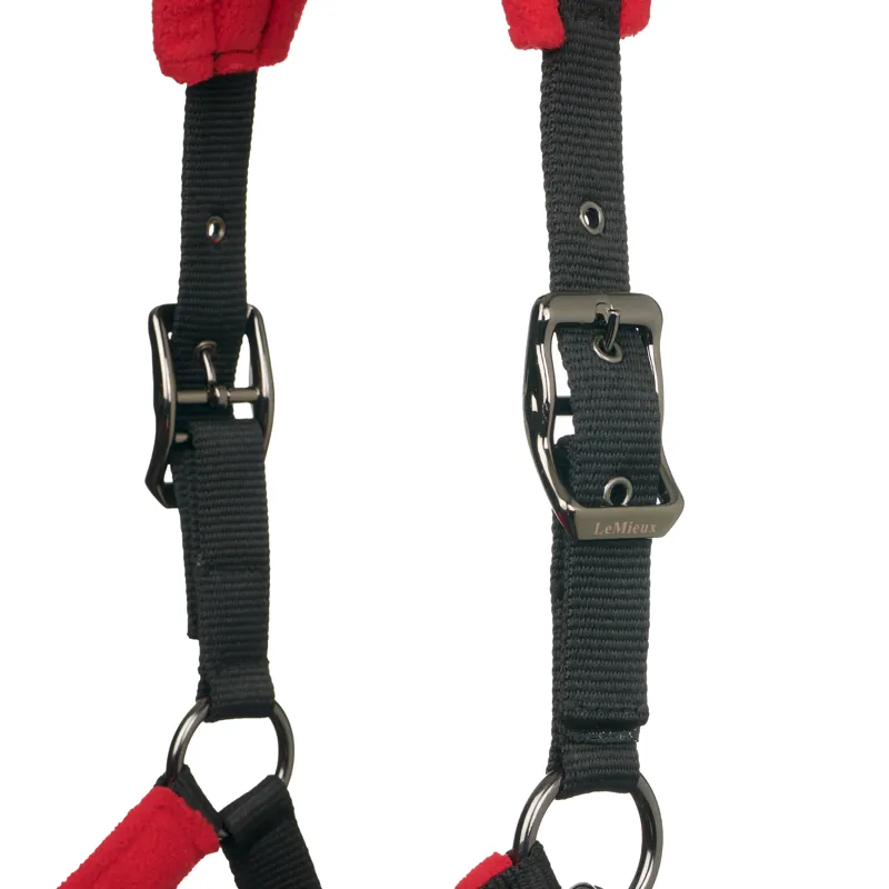 LeMieux Vogue Headcollar and Leadrope in Chilli-4