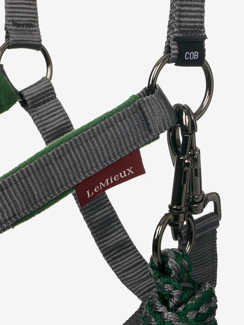 LeMieux Vogue Headcollar and Leadrope in Hunter Green-3