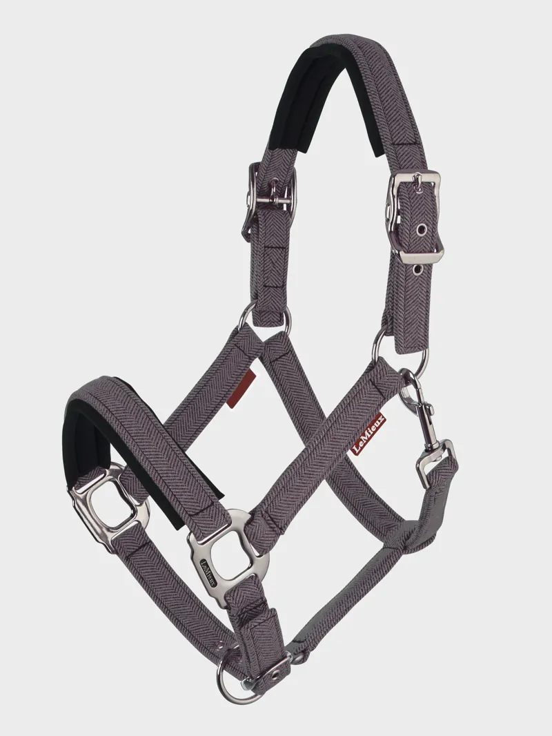 LeMieux Heritage Headcollar in Cocoa