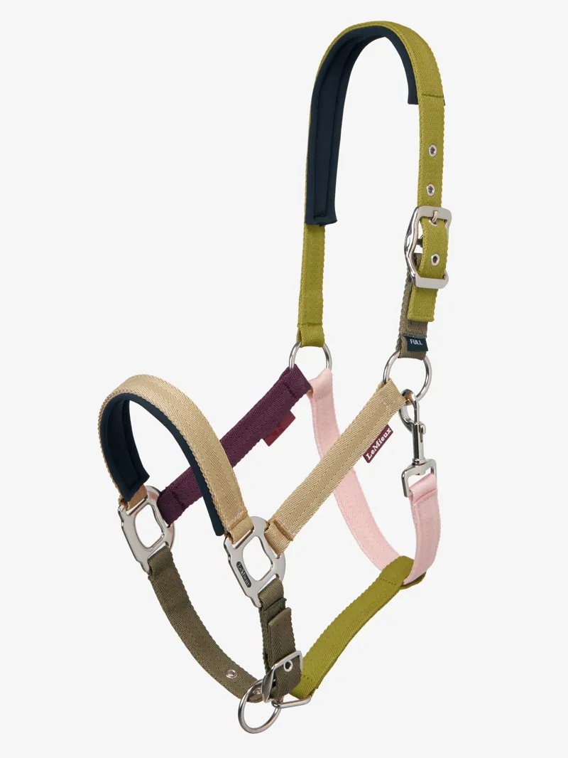 LeMieux Medley Headcollar in Gooseberry and Pear and Petal