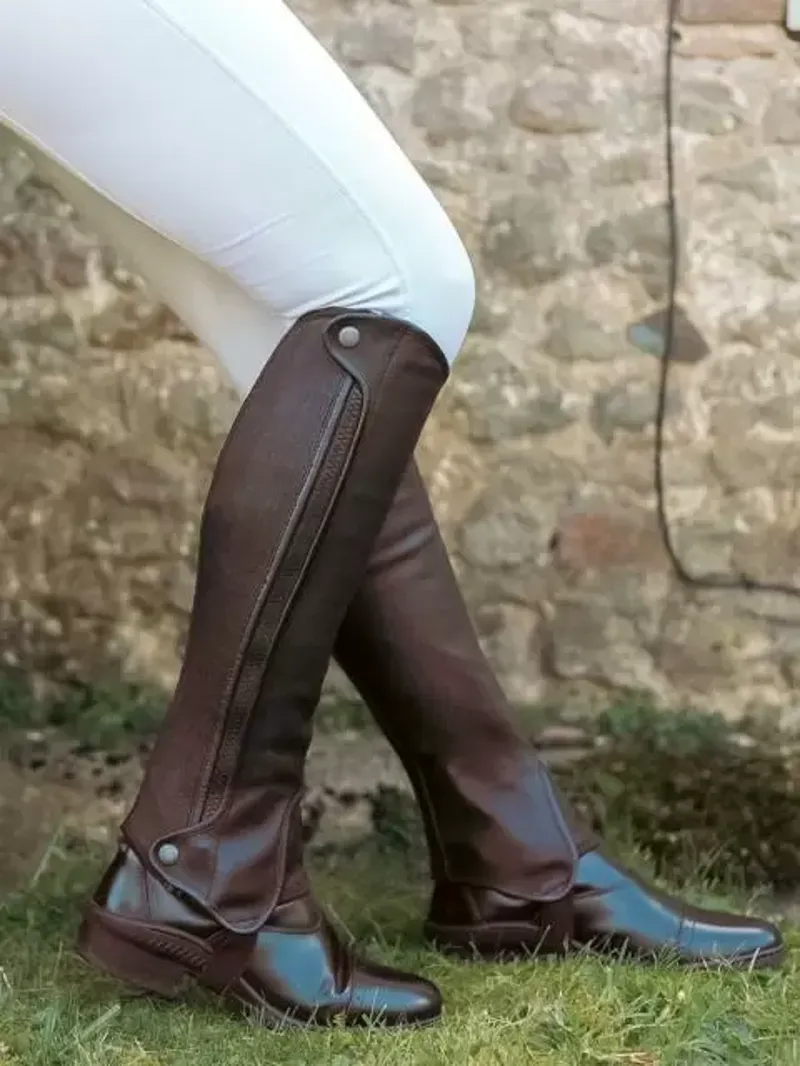 Just Chaps Saltos Premium Leather Half Chaps Adults in Brown