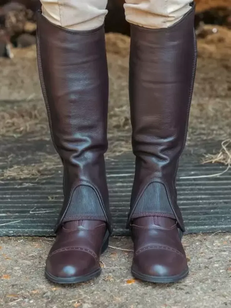 Just Chaps Saltos Premium Leather Half Chaps Adults in Brown-1