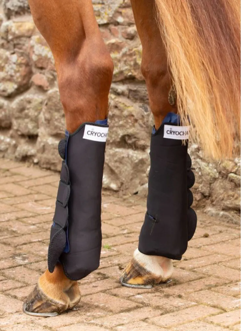 Cryochaps K2F Ice Wraps Hind Pair-2
