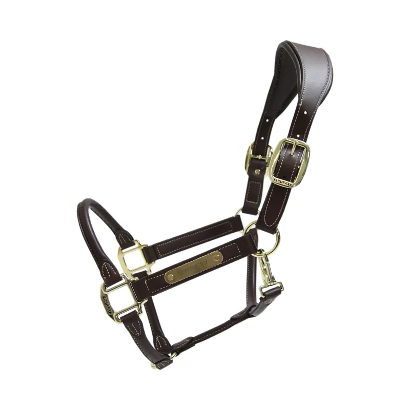 Kentucky Anatomic Faux Leather Headcollar in Brown