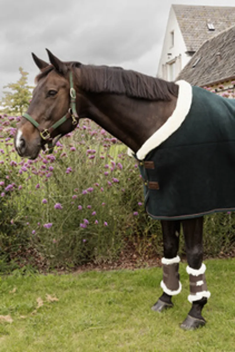 Kentucky Brushing Boots Air in Brown-6