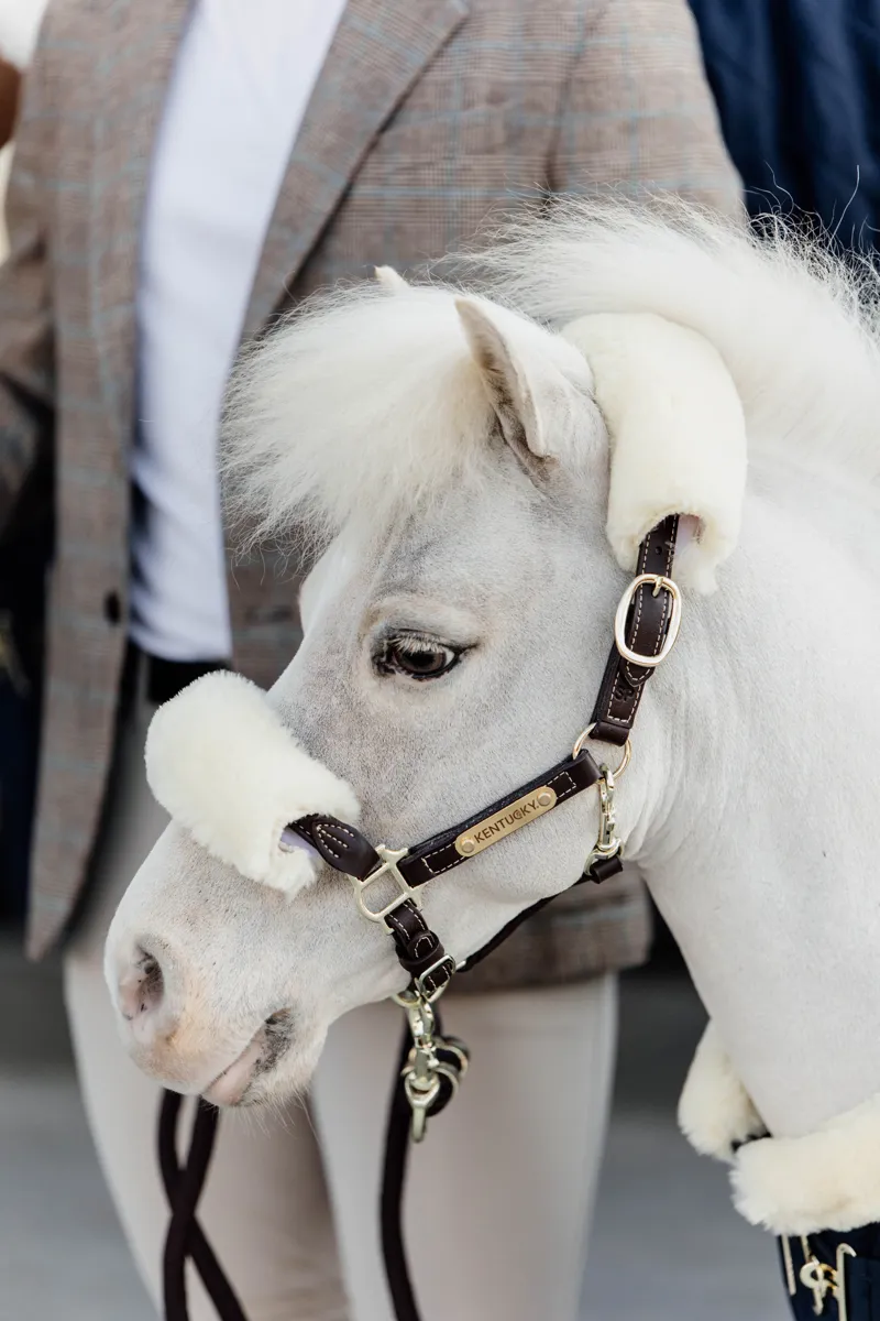Kentucky Faux Leather Halter Sheepskin in Brown-2