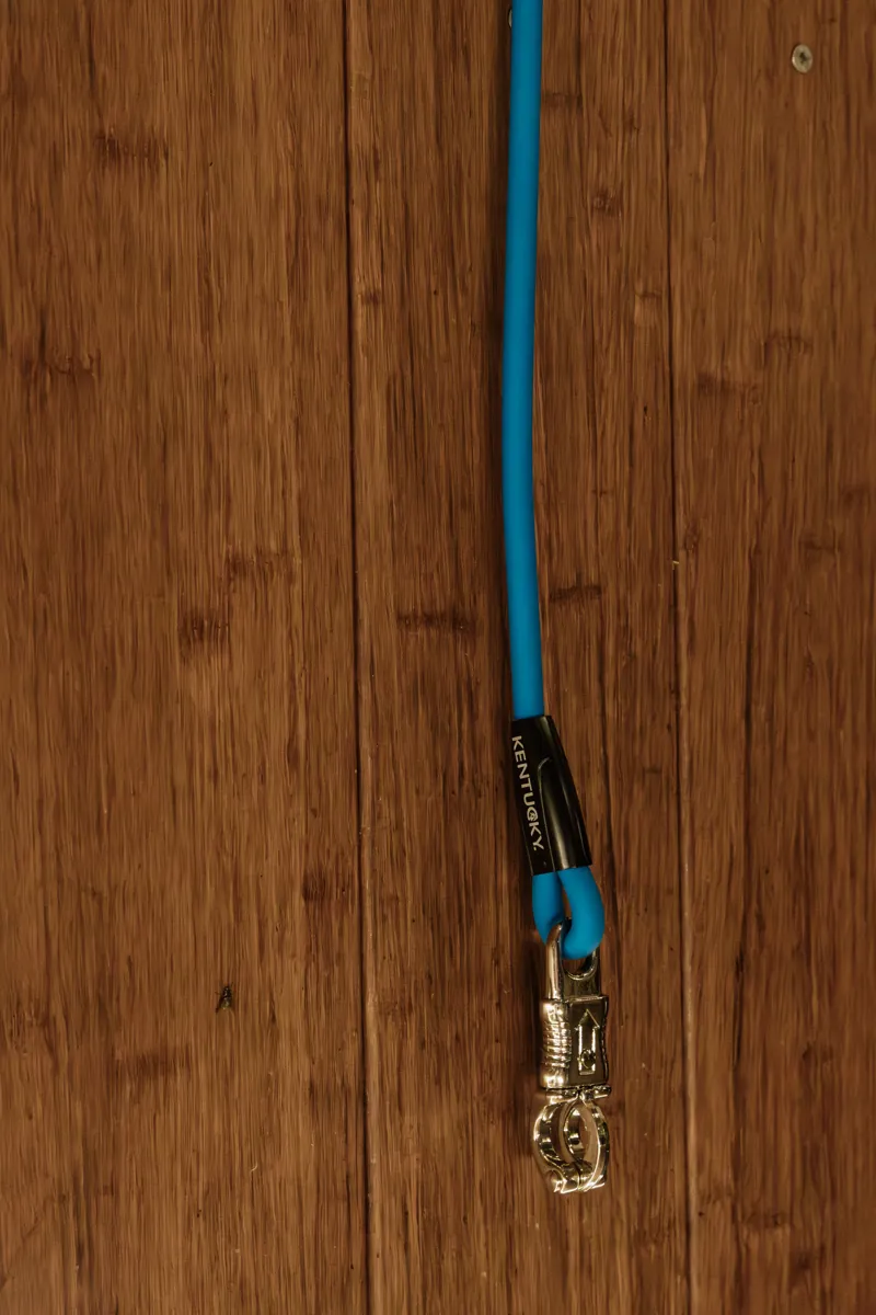 Kentucky Horse Box Lead and Cross Tie Silicone in Royal Blue-1