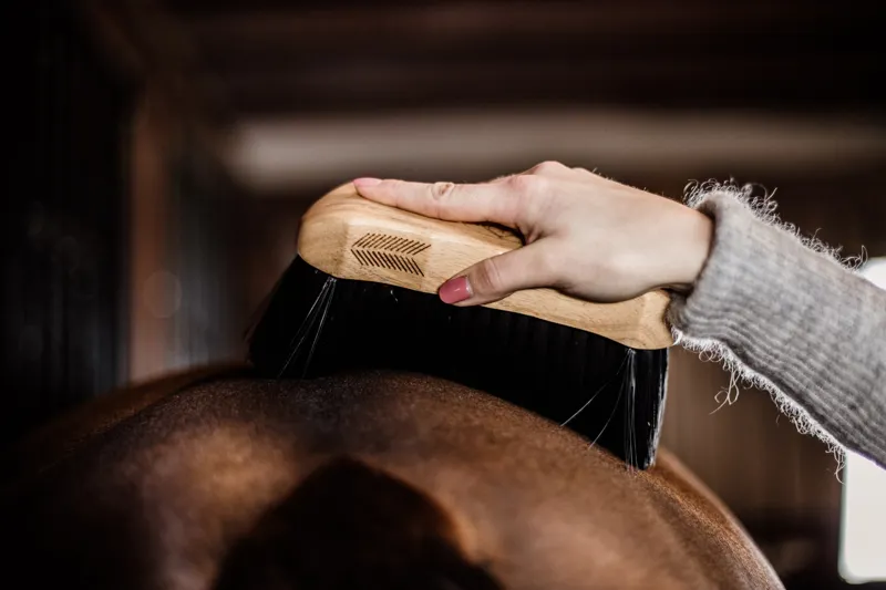 Kentucky Horsewear Body Brush Middle Hard-5