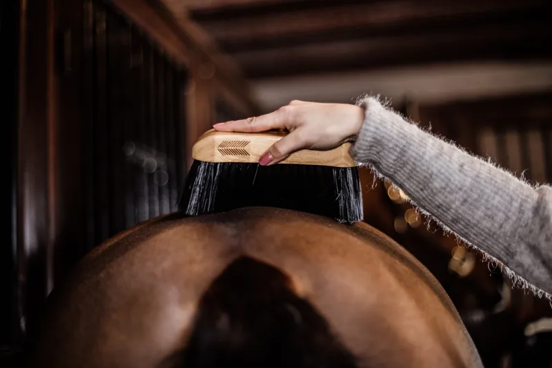 Kentucky Horsewear Body Brush Middle Hard-4