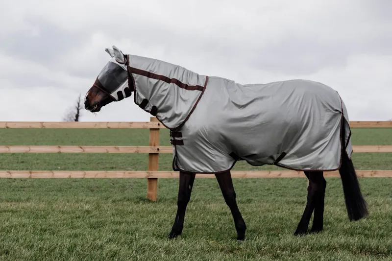 Kentucky Horsewear Classic Fly Mask with Ears - Silver-2