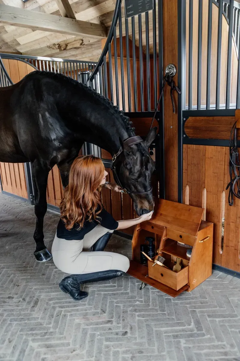 Kentucky Horsewear Deluxe Show Grooming Box in Brown-5