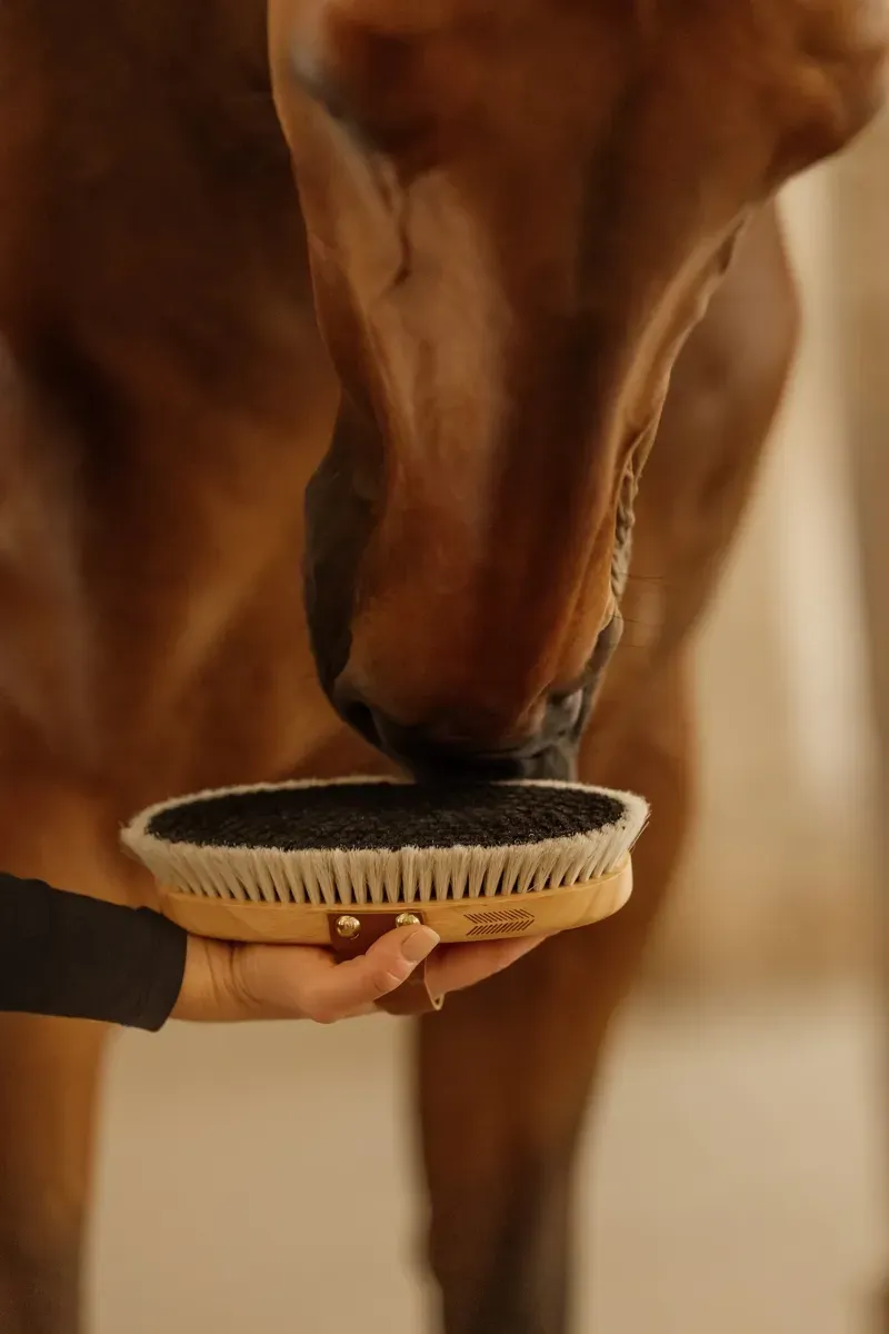 Kentucky Horsewear Deluxe Overall Brush Body Shine-2