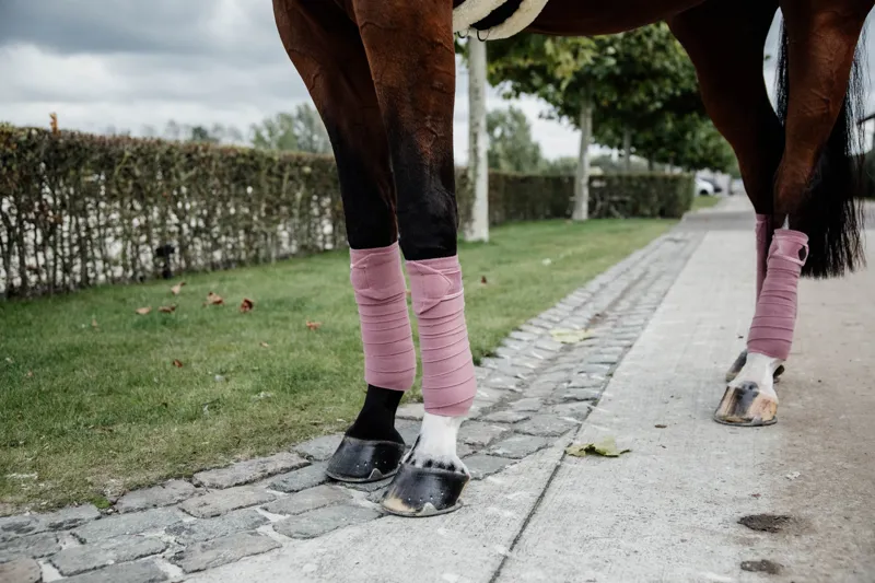 Kentucky Horsewear Polar Fleece Bandages Velvet in Old Rose-5