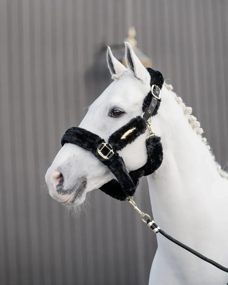 Kentucky Horsewear Sheepskin Travel Headcollar in Black-3