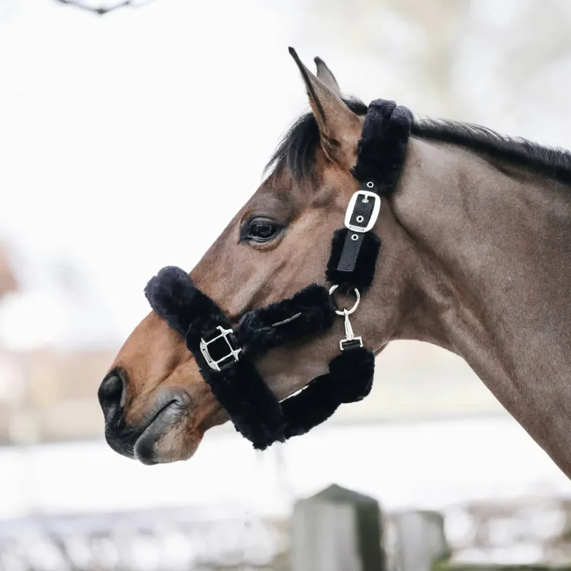 Kentucky Horsewear Sheepskin Travel Headcollar in Black-5