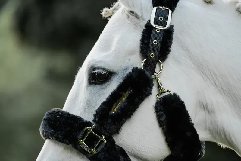 Kentucky Horsewear Sheepskin Travel Headcollar in Black-6