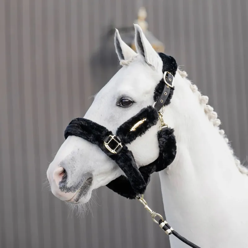 Kentucky Horsewear Sheepskin Travel Headcollar in Black-4