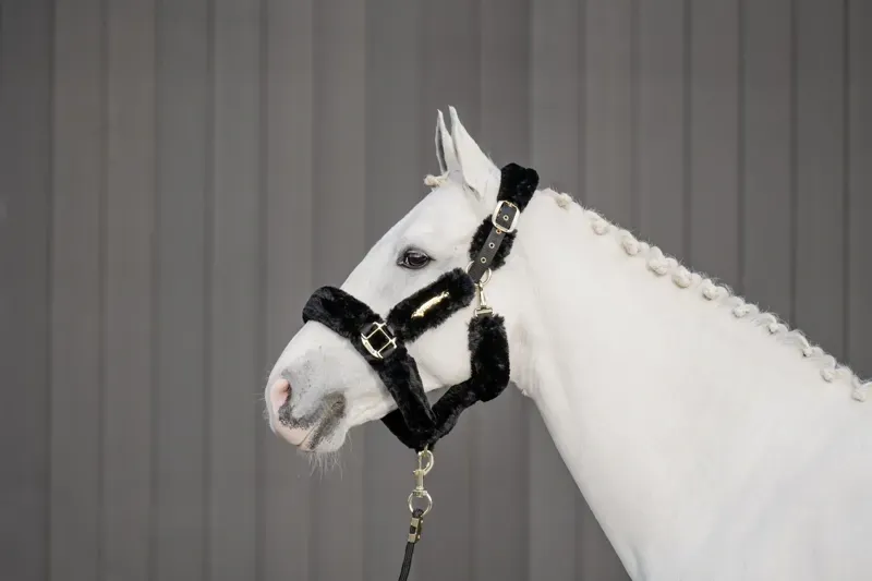 Kentucky Horsewear Sheepskin Travel Headcollar in Black-2