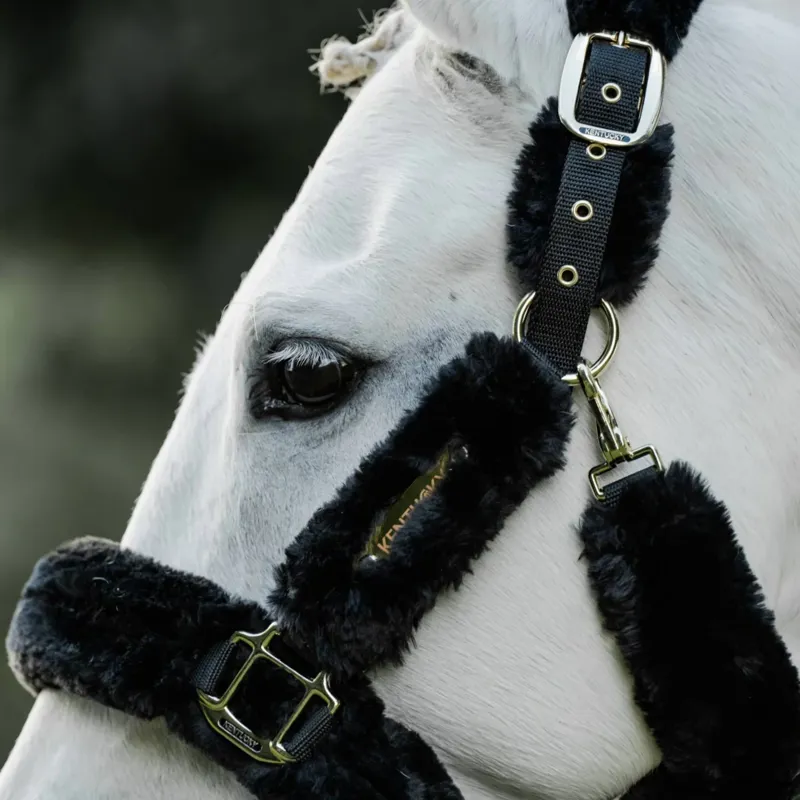 Kentucky Horsewear Sheepskin Travel Headcollar in Black-7