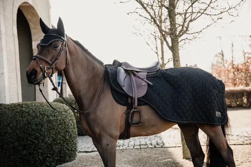 Kentucky Horsewear Wellington Glitter Stone Fly Veil in Black-3