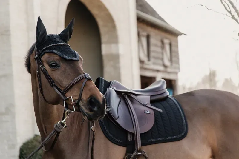 Kentucky Horsewear Wellington Glitter Stone Fly Veil in Black-2