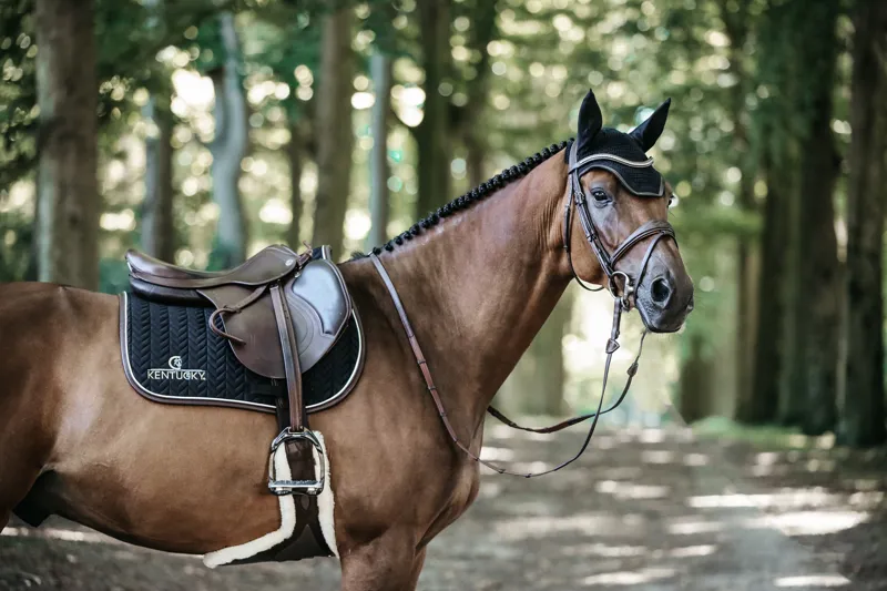 Kentucky Jumping Leather Fishbone Saddle Pad in Black-1