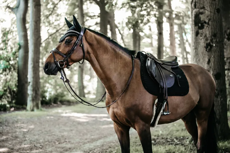 Kentucky Jumping Pearls Saddle Pad in Black-6