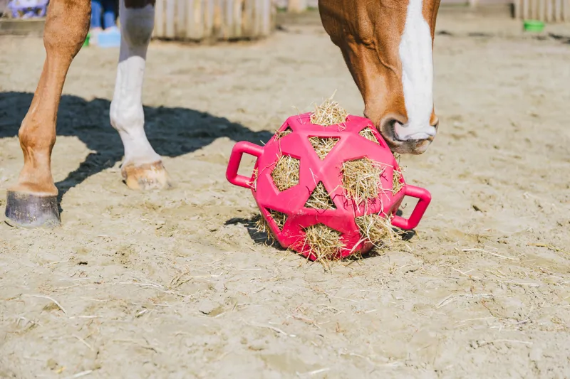 Kentucky Relax Horse Play and Hay Ball in Pink-3