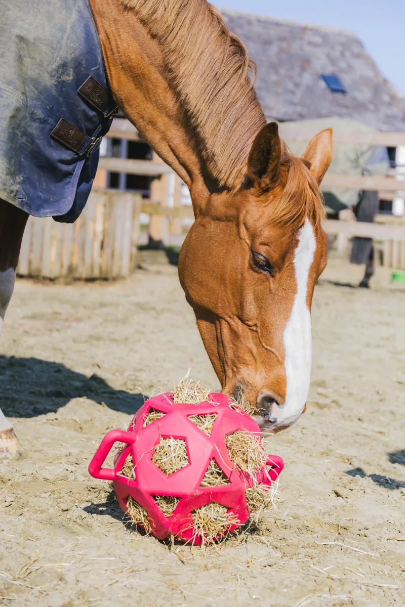 Kentucky Relax Horse Play and Hay Ball in Pink-1