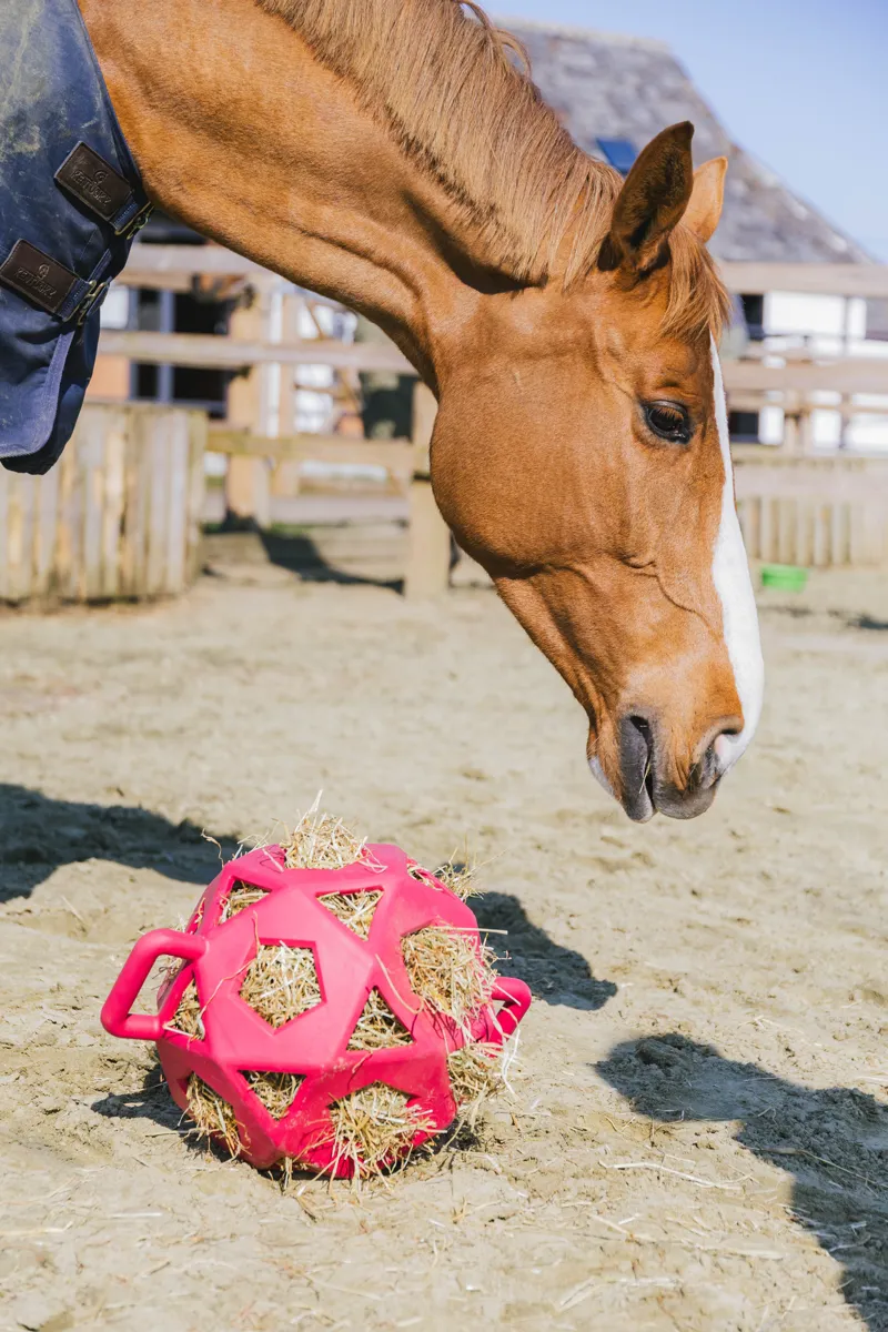 Kentucky Relax Horse Play and Hay Ball in Pink-2