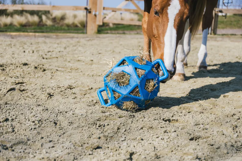 Kentucky Relax Horse Play and Hay Ball in Royal Blue-3