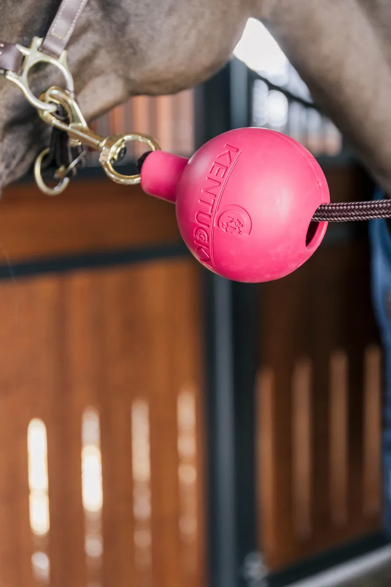 Kentucky Rubber Ball Wall and Lead Protector in Pink-1