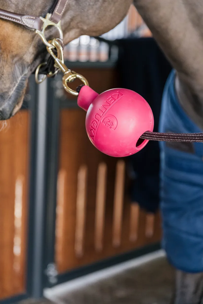 Kentucky Rubber Ball Wall and Lead Protector in Pink-3