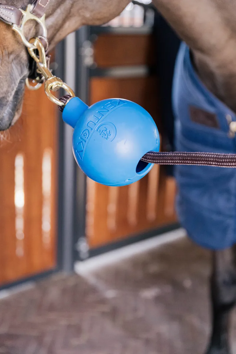 Kentucky Rubber Ball Wall and Lead Protector in Royal Blue-2